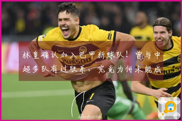 林皇确认加入巴甲新球队！曾与中超多队有过联系，究竟为何未能成行？